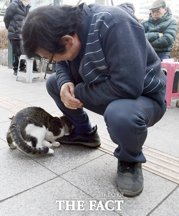 점심 때가 지나 출근한 길고양이 야웅이 사장 김 씨의 발등에 얼굴을 파묻으며 인사를 나누고 있다.