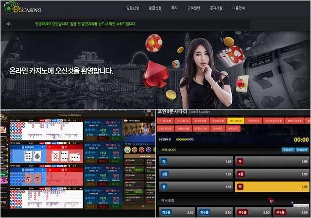 북한 IT 조직의 불법 도박 사이트 제작·판매 관련 자료. /국가정보원