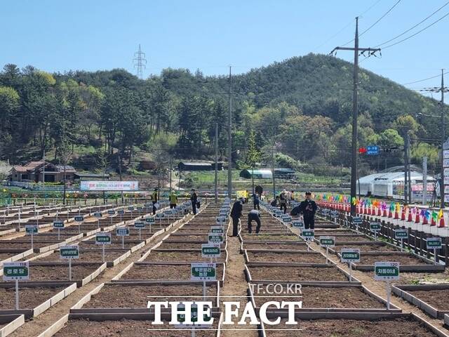 진주시 농업기술센터 앞에 조성된 시민텃밭/진주시