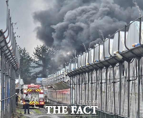 19일 오전 제주 서귀포시 남원읍 소재 비닐하우스 창고에서 화재가 발생해 소방당국이 진화에 나서고 있다.