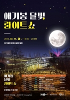  김포 애기봉서 '희망의 달빛 라이트쇼' 펼쳐진다