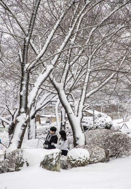 눈 쌓인 시흥시 갯골생태공원.