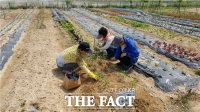  인천환경공단 '영종도 친환경 주말농장 이용하세요'