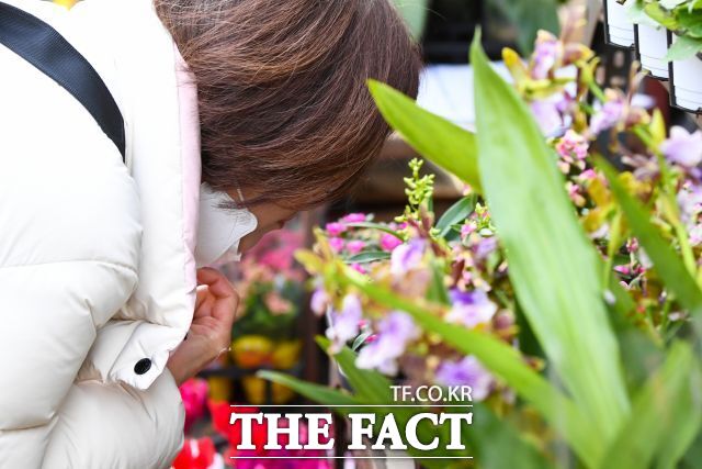 4일 오후 서울 종로구 종로꽃시장을 찾은 시민이 꽃내음을 맡고 있다. /서예원 기자
