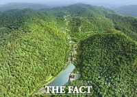  산림청 완도수목원 보완해 국립난대수목원 조성