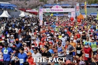  합천벚꽃마라톤대회 오는 31일 개막…역대 최다 참가자 신청