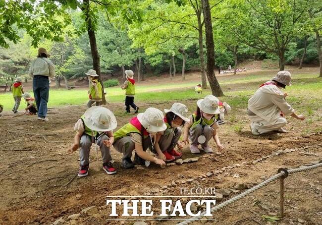 유아숲 체험 프로그램 중 나무야 놀자 진행 현장. /고양시