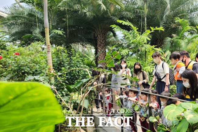 부천호수식물원 수피아를 단체방문한 아이들이 열대식물과 물고기를 관찰하고 있다./부천시