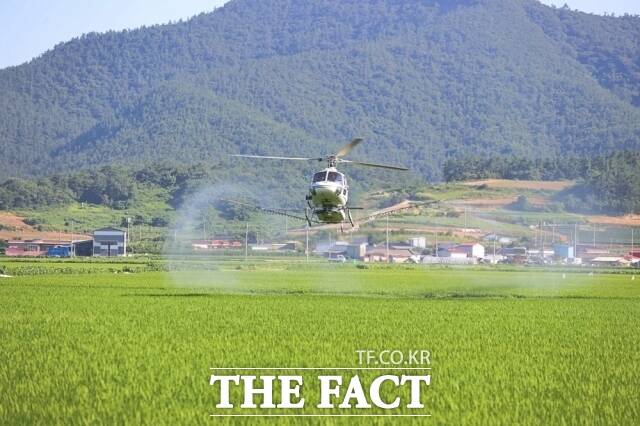 해남군은 기후변화에 따른 병해충 발생 증가에 대응하기 위해 벼 병해충 방제사업에 사업비 28억 원을 투입해 방제사업을 실시한다고 14일 밝혔다./해남군