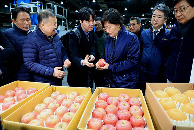 송미령 농림축산식품부 장관이 서울 가락시장을 찾아 사과·배 등 주요 과일 도매시장 반입 현황과 도매가격을 점검하고 있다./농림축산식품부