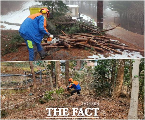 서부지방산림청이 산림 관련 민원을 해결하는 서비스 숲가꾸기패트롤을 운영한다. /서부지방산림청