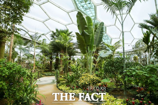 부천호수식물원 수피아는 온실 형태로 추운 겨울에도 따뜻하게 사계절 푸른 식물을 감상할 수 있다./부천시