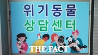  용인 등 9개 시군 '위기동물 상담센터' 설치…경기, 운영 전담 인력 지원