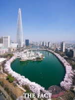  석촌호수서 즐기는 봄밤 벚꽃 정취…27일 축제 개막