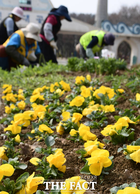 인천대공원에서 관계자들이 봄꽃 식재 작업을 하고 있다.