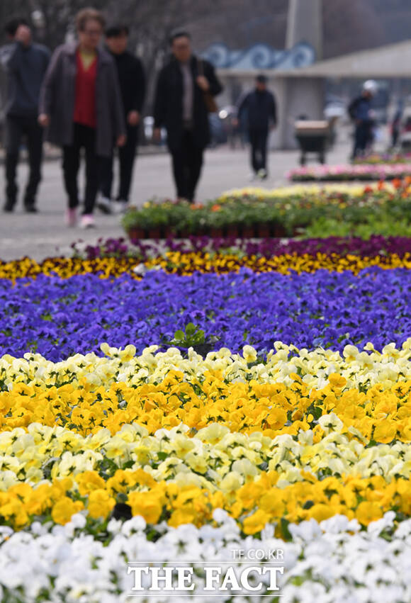 인천대공원에서 봄꽃 식재 작업이 한창이 가운데, 시민들이 꽃 구경을 하고 있다.