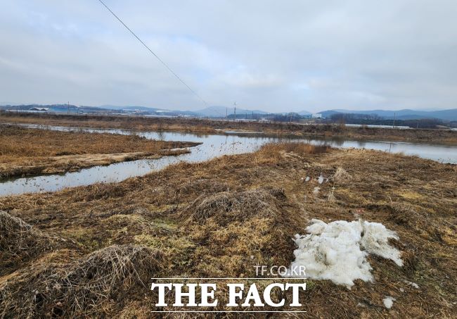 용인시 율곡천 전경./용인시