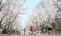  인천시, 오는 6~7일 '인천대공원 벚꽃축제' 개최
