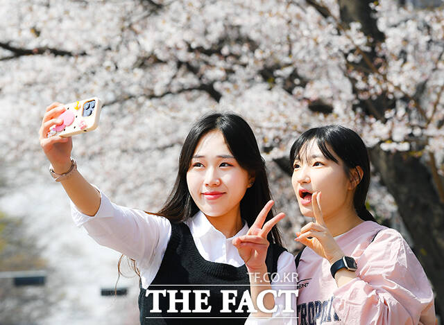 완연한 봄날씨를 보인 2일 오후 서울 영등포구 윤중로 벚꽃길을 찾은 시민들이 봄기운을 만끽하고 있다. /이동률 기자