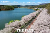  '하얀 4월' 펼쳐진 수원시…벚꽃 명소 5경