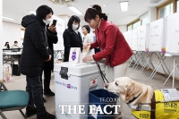  '안내견 조이와 함께' 사전투표 하는 김예지 국민의미래 비례대표 후보 [TF사진관]