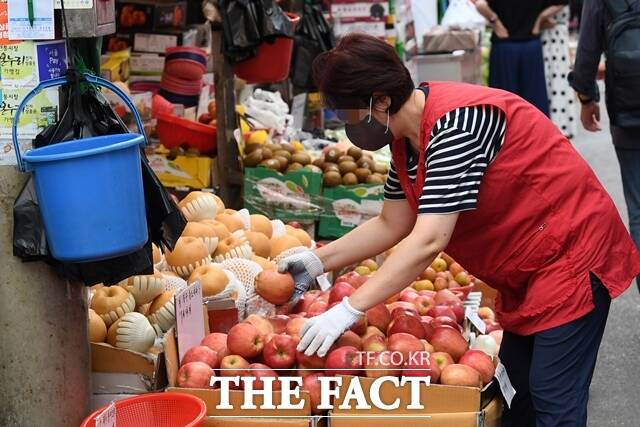 한국농수산식품유통공사(aT) 농산물유통정보에 따르면 이달 5일 기준 사과(후지·상품) 10개 소매가격은 2만4286원으로 집계됐다. /더팩트 DB