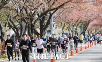  '국내 최장 벚꽃길 뛰어보자'…2024 대청호 벚꽃길 마라톤대회 13일 개최