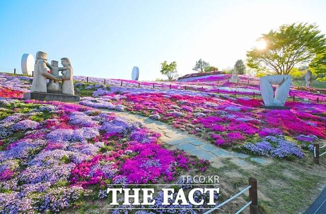 산청군은 오는 15일부터 28일까지 생초면 어서리 생초국제조각공원 일원에서 생초국제조각공원 꽃잔디 축제를 개최한다./산청군