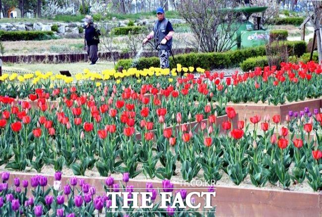 도시농업공원 시민행복텃밭에서 행복을 가꾸는 도시농민 모습./시흥시