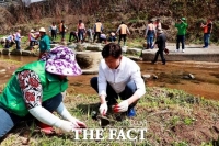  보성군, 동윤천 생태하천길에 꽃창포 1만 1000본 식재