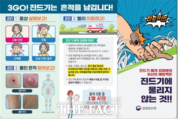 제주에서 고사리를 캐러 갔던 80대 여성이 SFTS에 확진되며 철저한 예방수칙 준수가 요구되고 있다./제주도