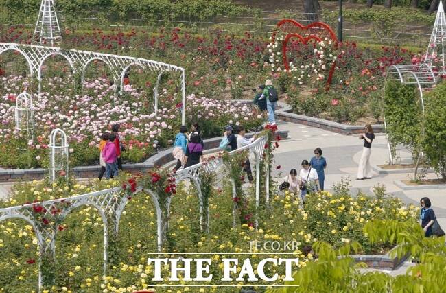 장미원 전경. /고양시