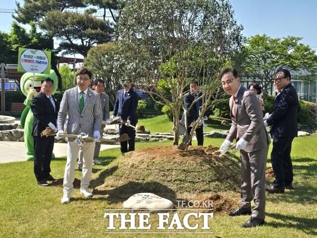 보성군은 김철우 보성군수를 비롯해 임용민 보성군의회 의장, 박해종 보성다향대축제추진위원회 위원장, 이정우 보성차문화회 회장 등이 오는 11일부터 개최되는 ‘제27회 하동야생차문화축제’의 기념식수 행사와 개막식에 참석한다고 10일 밝혔다. 사진은 지난 3일 ‘제47회 보성다향대축제’ 개막식 행사에서 하동군의 100년 이상 된 고차수를 보성군청 광장에 식재하는 모습./보성=오중일 기자