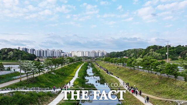 11일 열린 당진시 이팝나무길 가족사랑 걷기 행사 장면. /당진시