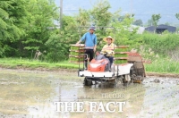  백영현 포천시장, ‘여리향’ 품종 모내기 현장 방문해 격려