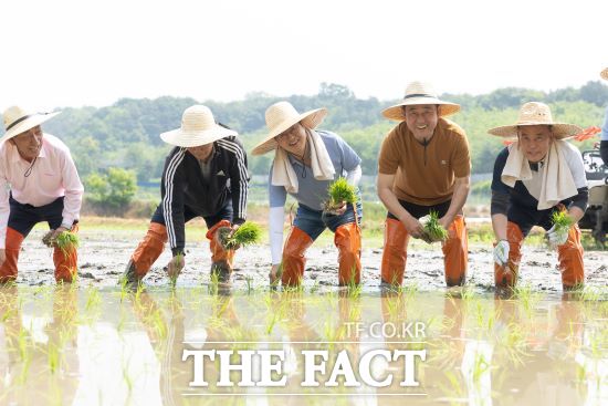 김동연 경기도지사가 22일 여주시 모내기 현장을 찾아 손 모내기를 시연하고 농업인들을 격려했다./경기도