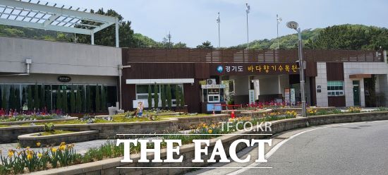 경기도는 안산 대부도 인근에 소재한 바다향기수목원에 양지에서도 잘 자라는 탄소꽃이끼를 활용한 이끼 테마정원을 조성해 방문객을 맞고 있다고 23일 밝혔다./경기