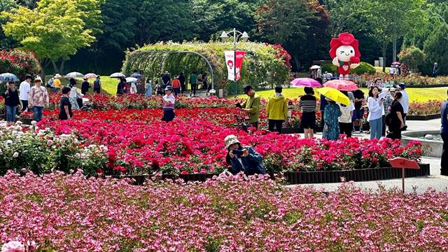 SK이노베이션과 울산광역시는 22일부터 26일까지 울산대공원에서 장미축제를 진행한다. /SK이노베이션