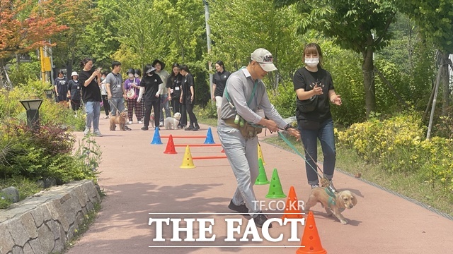 서울 성북구(구청장 이승로)가 반려견 전문훈련사와 함께하는 반려견 교육을 실시했다. /성북구