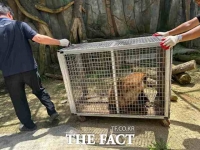  대구 '네이처파크', 수년째 실내 동물원에 방치된 동물들 구조