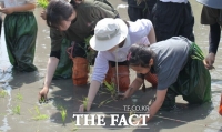  천리포수목원, 태안 모항초등학교 학생과 모내기 행사