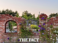  국립세종수목원, 클레마티스 담장정원 오픈…국내 최대 규모