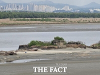  한강에 ‘독도’가 돌아왔다…김포지역 섬 지명 ‘독도’로 결정