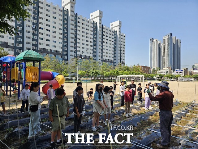 전북자치도 익산시가 이리고현초등학교, 이리동북초등학교 등 12개 학교에 스쿨팜(학교 텃밭) 지원사업을 추진하고 있다. /익산시