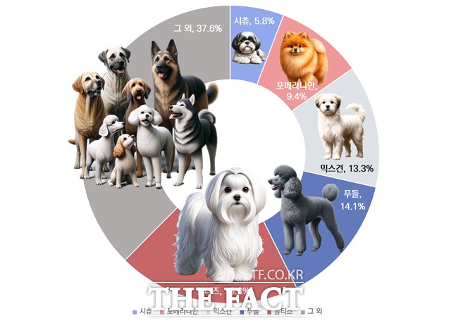전국 등록 반려견 중 17.5%가 서울시에 등록된 것으로 나타났다. 품종은 말티즈·푸들·믹스견이 절반을 차지했다. /서울시