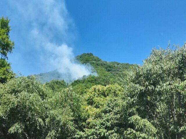 13일 김천시 구성면 마산리의 한 야산에서 연기가 나고 있다./산림청