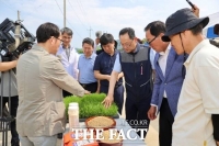  해남군, 장립종 쌀 벼 모내기 현장 연시회 개최…국내 재배 착수