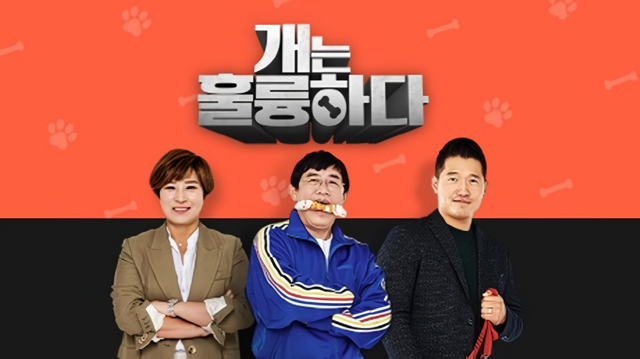 KBS2 예능프로그램 개는 훌륭하다가 반려견 훈련사 강형욱(맨 오른쪽)의 분량을 지우고 방송을 다시 시작한다. /KBS