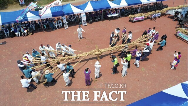 울산마두희 전통 줄다리기 축제 행사 장면. /당진시