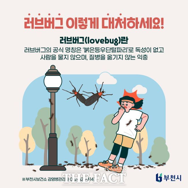 러브버그 대처 방법 안내문/부천시